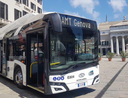 RINNOVO CITY PASS AMT: ASSISTENZA AGLI UTENTI